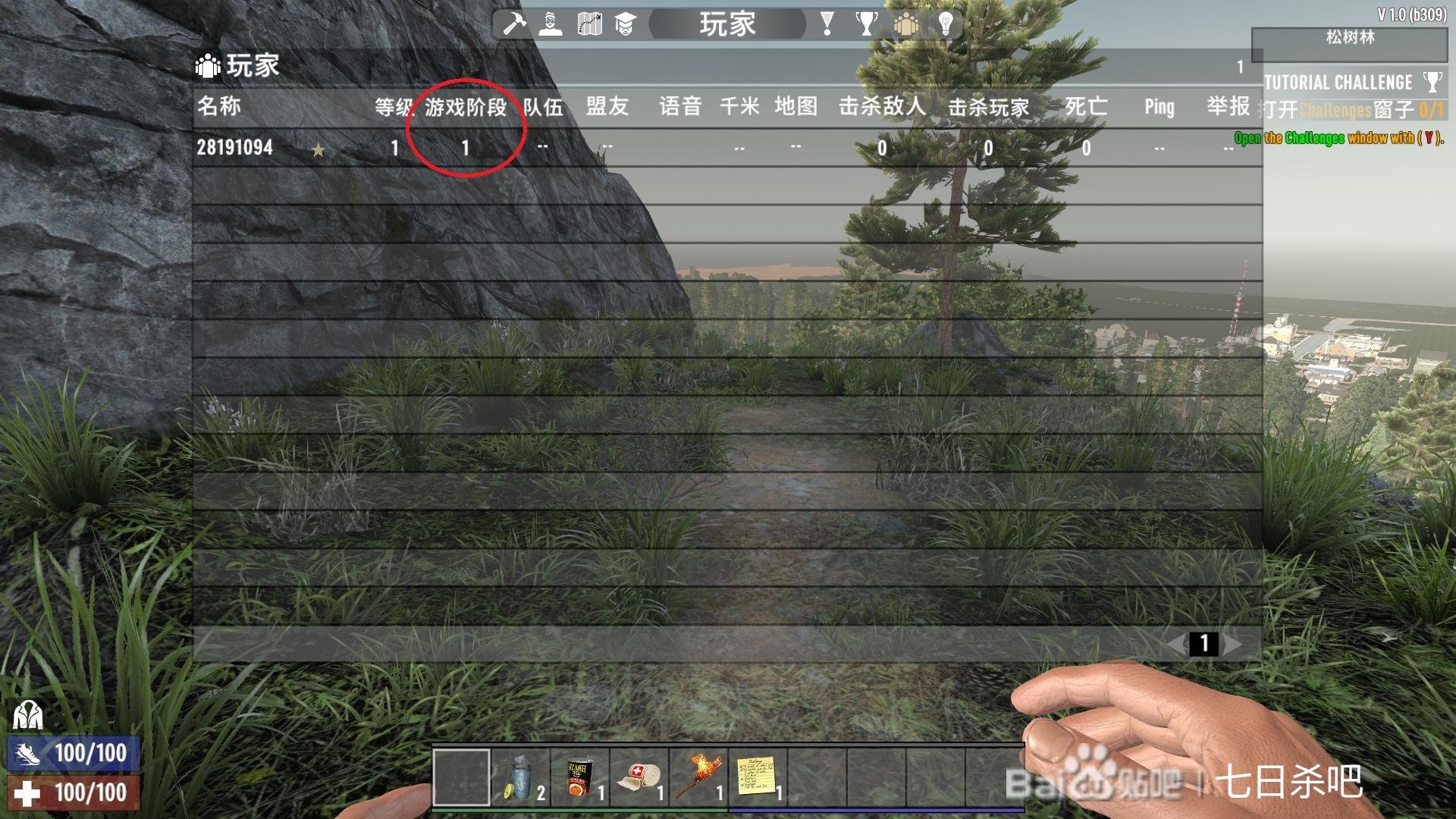 上古卷轴5：天际 豪华版 截图3