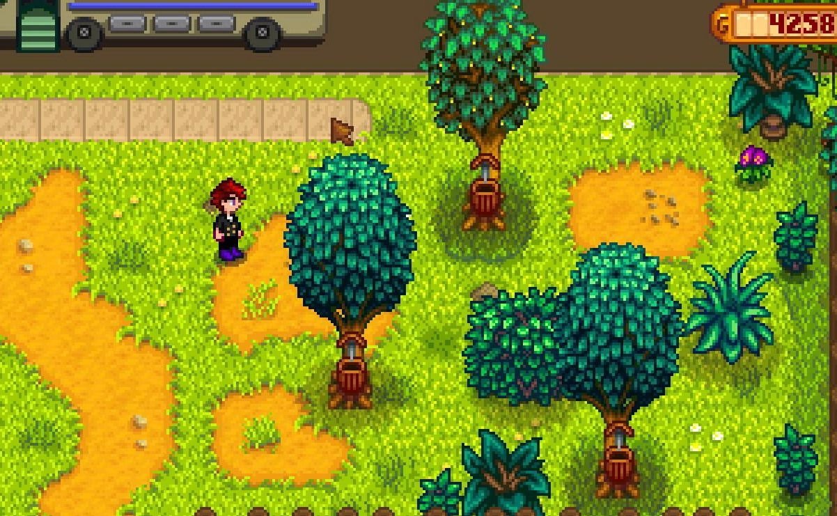 艾尔登法环 终极版 截图3