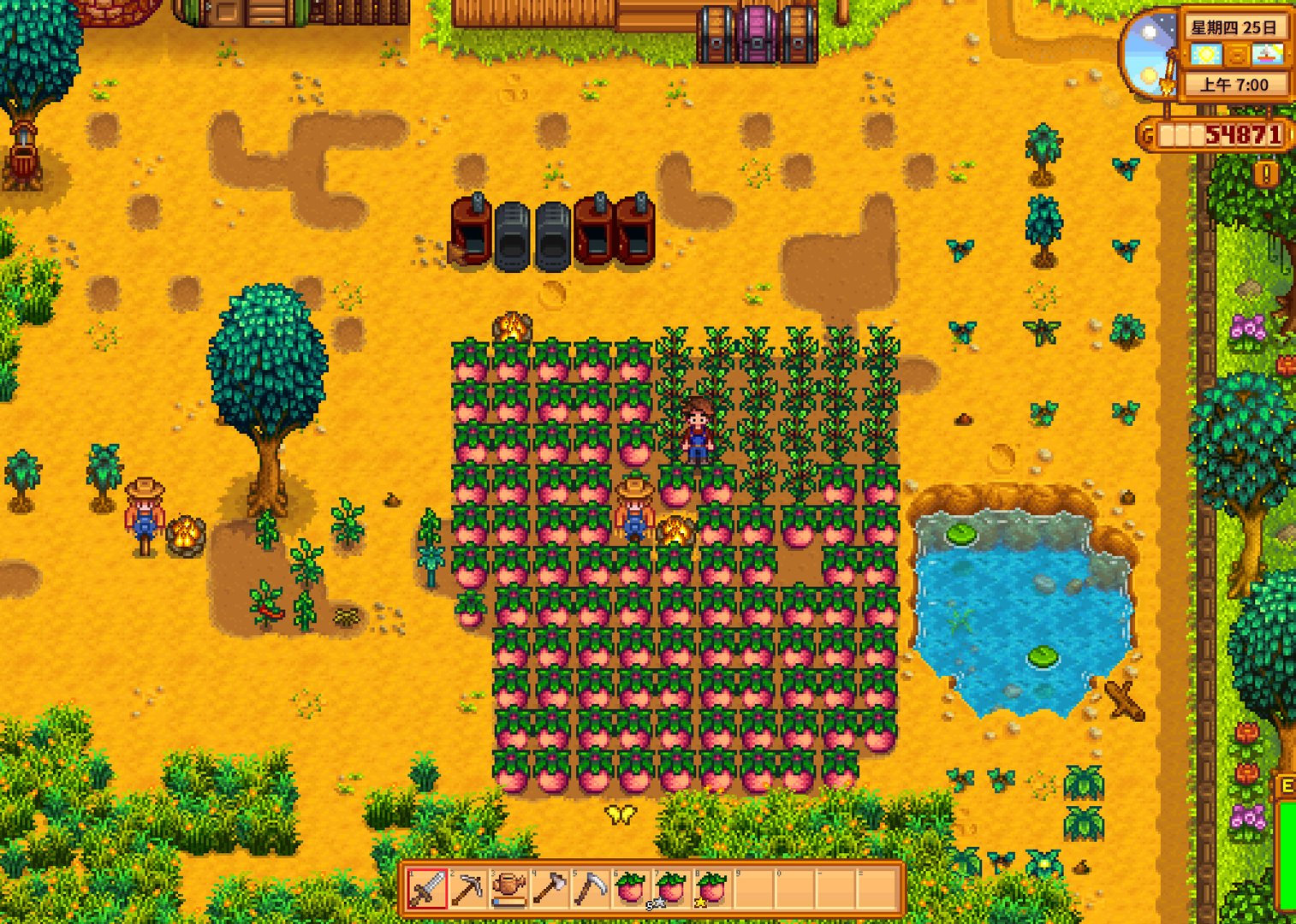 艾尔登法环 终极版 截图16